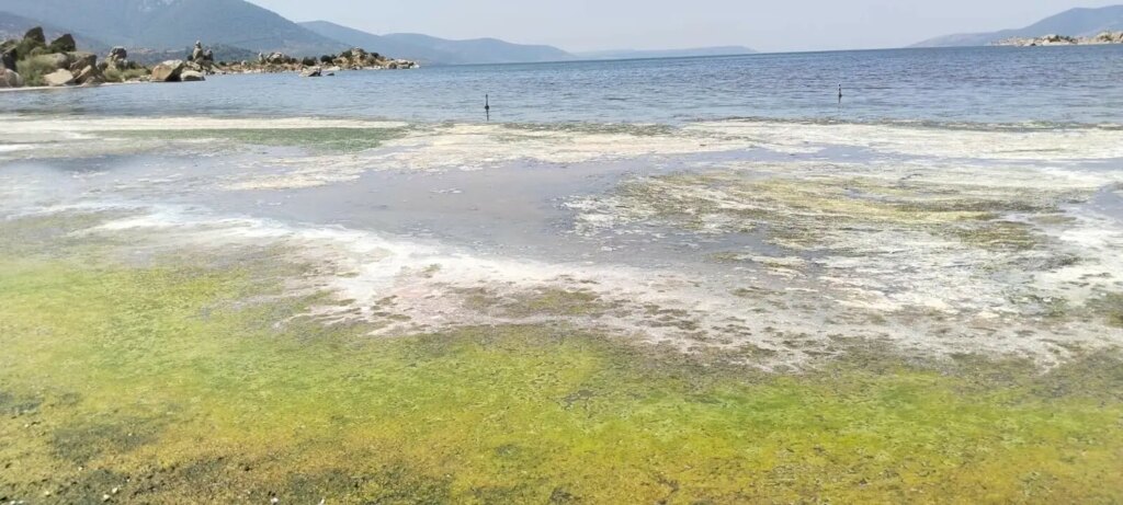 bafa golu kuruyor kirlilik artiyor DWXnXRKa