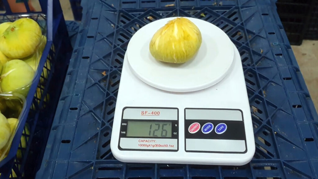 cografi isaret almasi icin calisma baslatilmisti mut beyazi incir tanesi 20 tlden ihrac ediliyor Mrktk23W