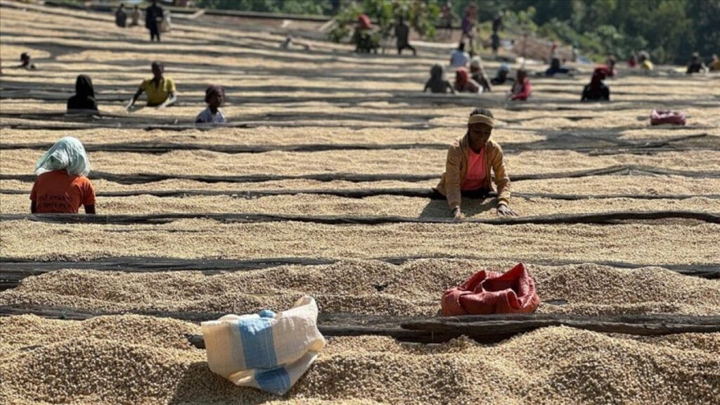 etiyopyanin yillik enflasyon verileri aciklandi TqFt45Ds