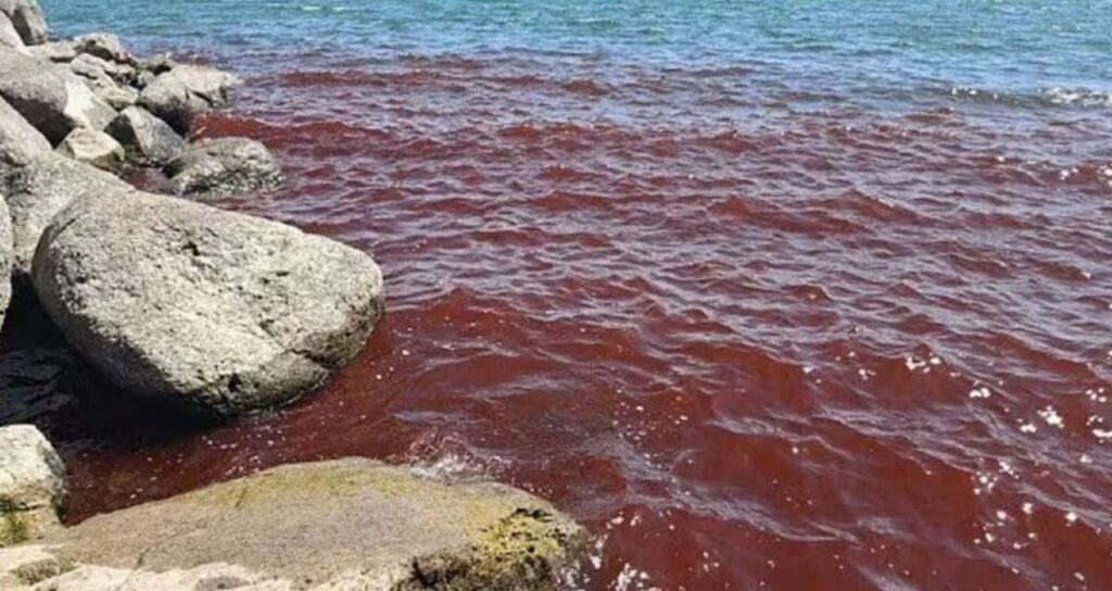 gol bir anda kan kirmiziya burundu son zamanlarin habercisi HnNqBDsF