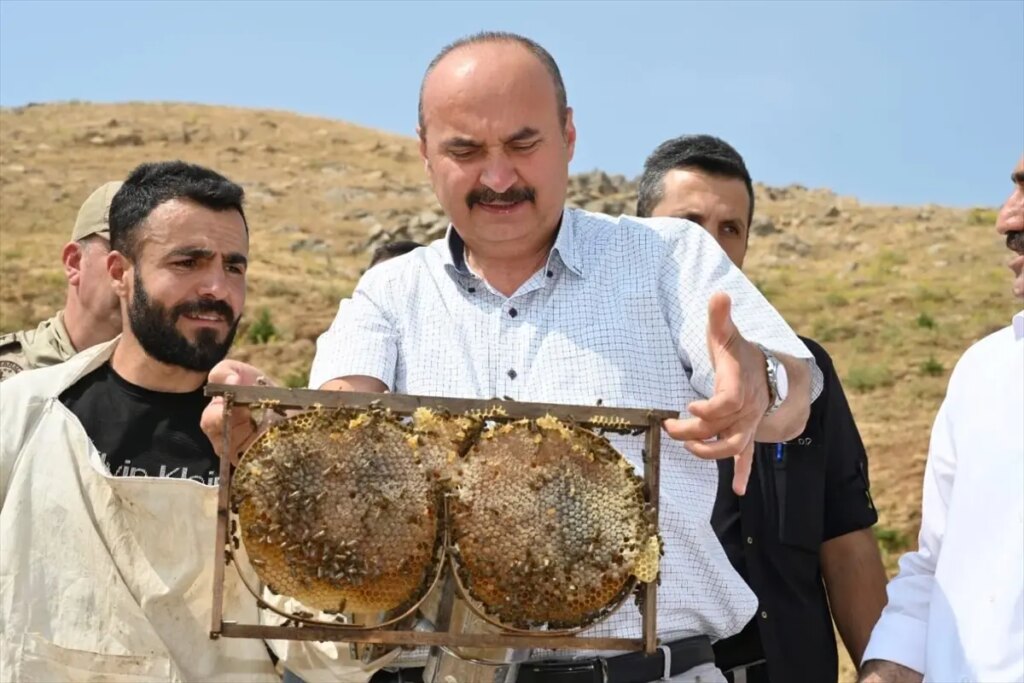 sasonda bal hasadi basladi PF33O8R1