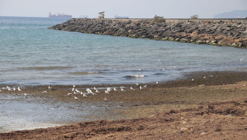 ulasimi felc eden poyraz sona erdi mJmWXsvU