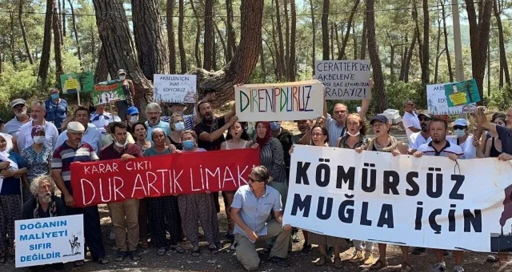 zeytinde skandal karar s6PwkaU8