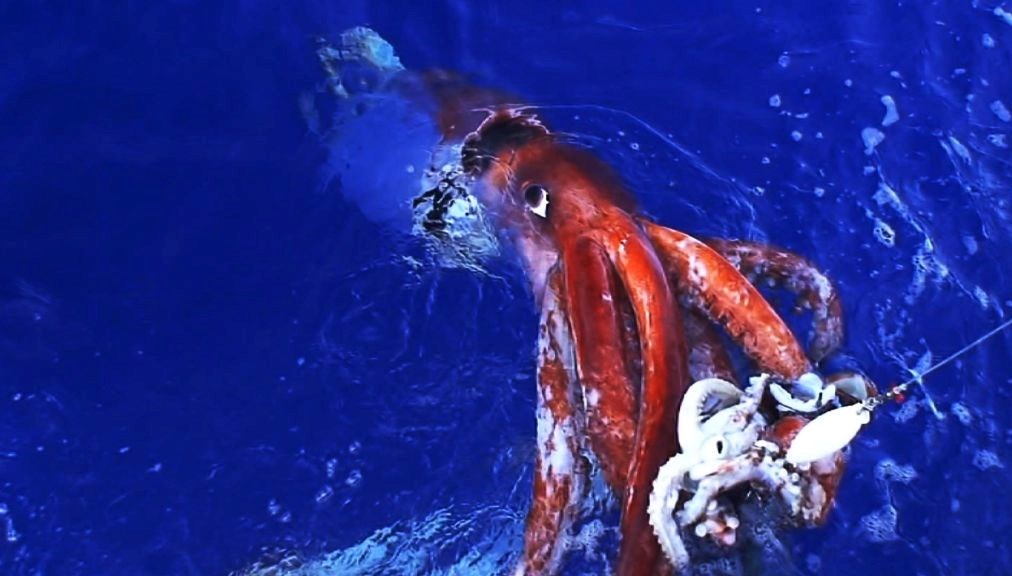 murekkepbaliklari cocuklara yonelik zeka testini gecti ukWXnhr4