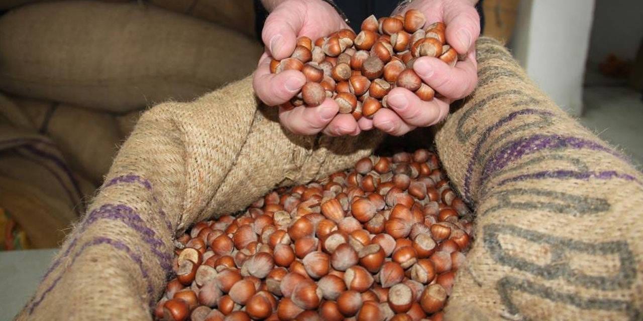 findiktan 1 milyar 610 milyon 163 bin gelir gjBlTbzN.jpg