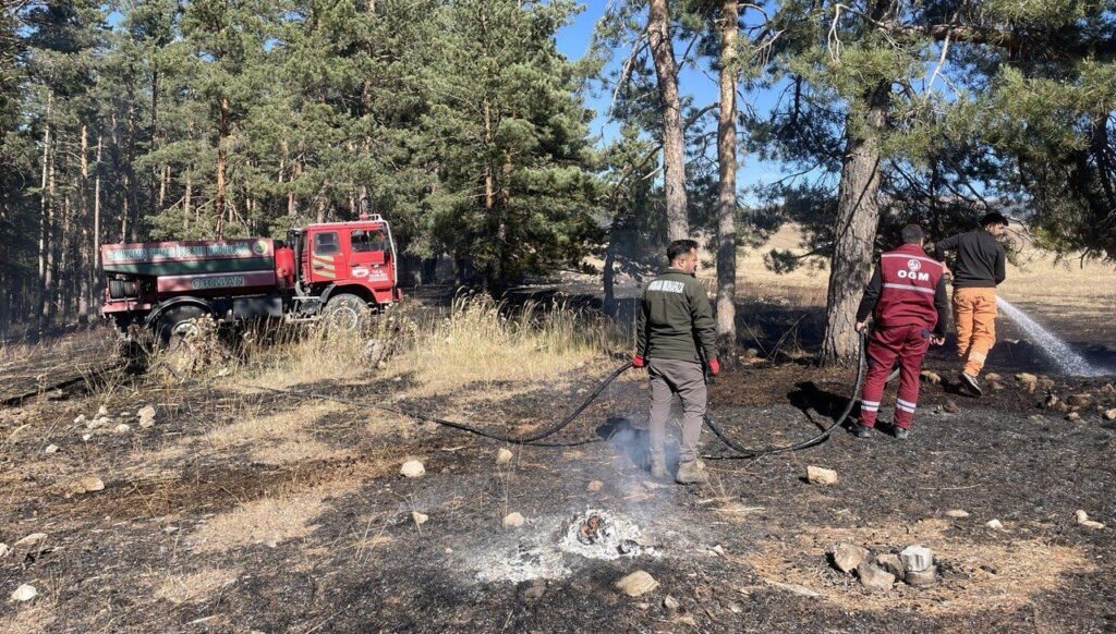 sarikamista cikan orman yangininda yaklasik 1 hektar alan zarar gordu YYtzhe96