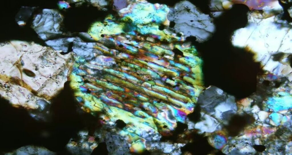 Altın sandı, bulduğu şey bambaşka çıktı: Gerçek altından daha nadir