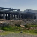 izmitten sokak hayvanlarina modern yasam alani wJ34W2Hu.webp