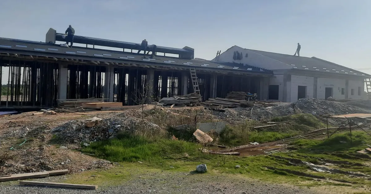 izmitten sokak hayvanlarina modern yasam alani wJ34W2Hu.webp